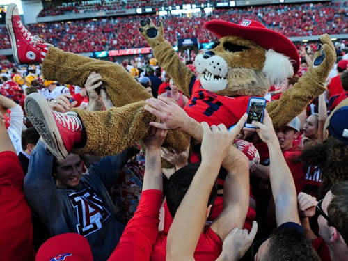 Wildcat for Life