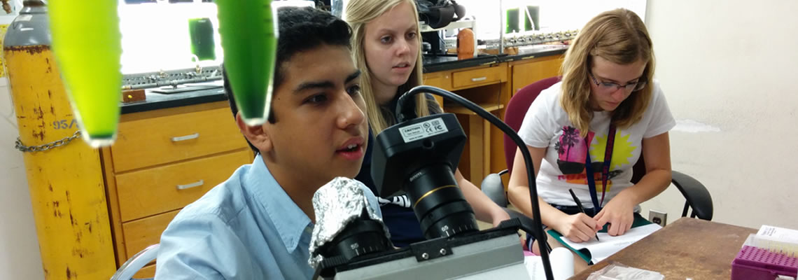 University of Arizona information for K-12 STEM